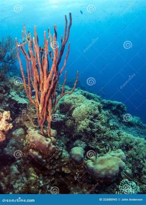  Amphimedon! This Colorful Reef-Dwelling Sponge Offers A Surprisingly Complex Underwater World